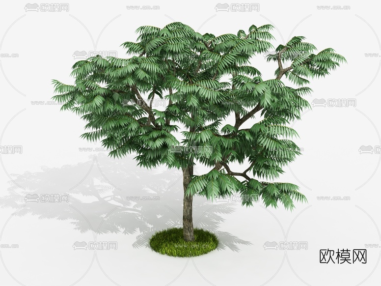 现代景观树木3d模型下载