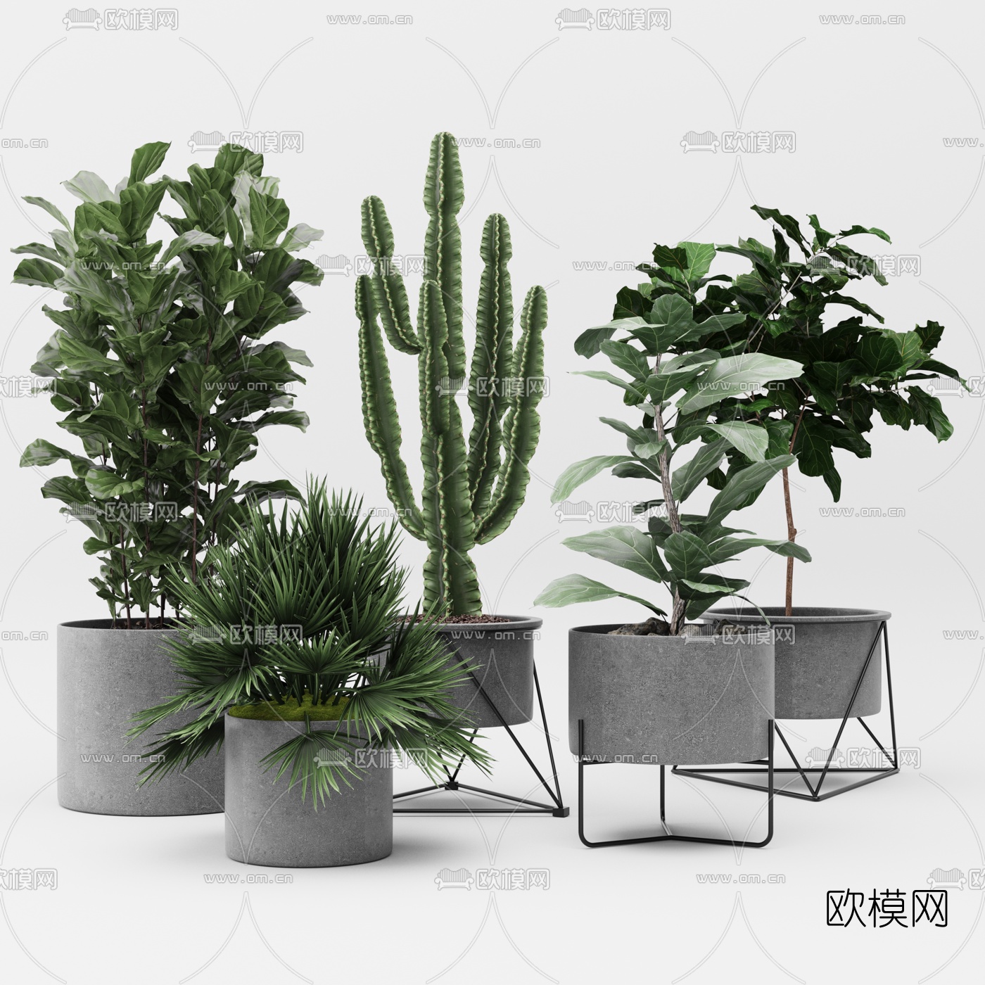 现代绿植盆栽3d模型下载（渲染图1）