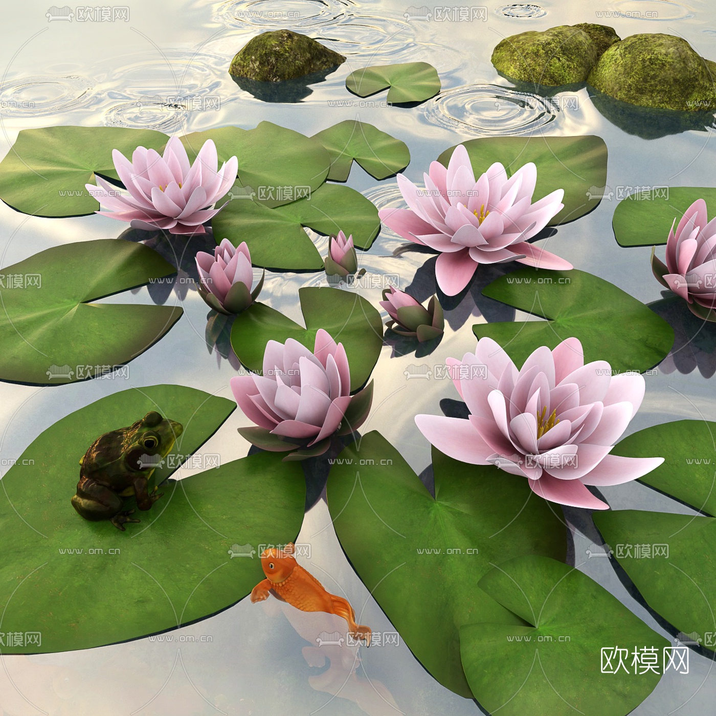 现代青蛙金鱼荷花3d模型
