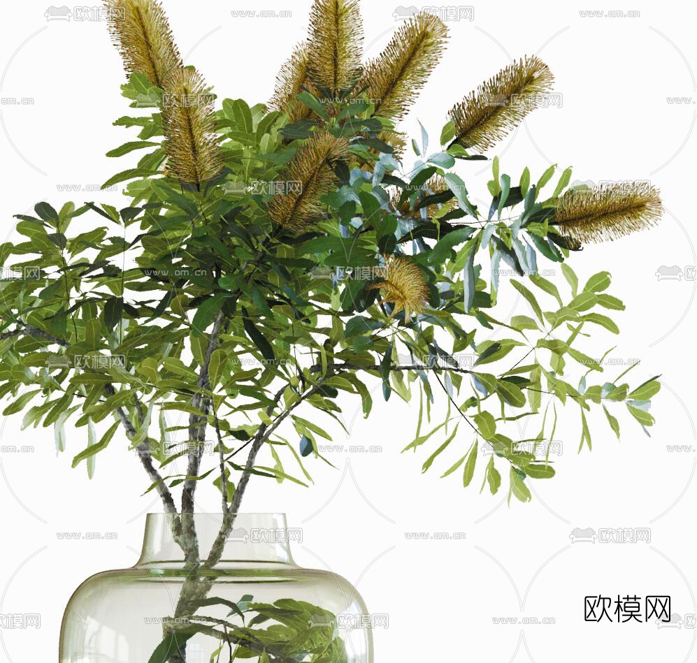 现代植物绿植花瓶3d模型下载（渲染图2）