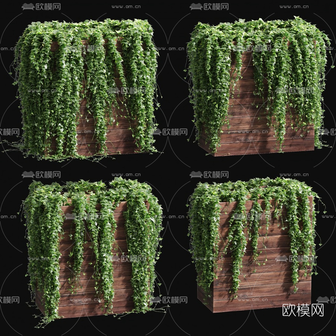 自然风爬山虎藤蔓3d模型下载