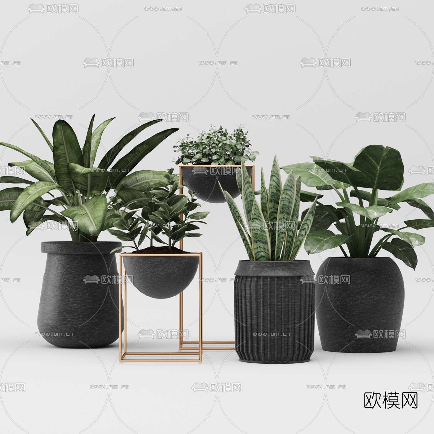 现代绿植盆栽3d模型下载