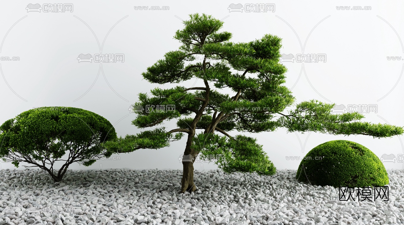 现代庭院景观树3d模型下载