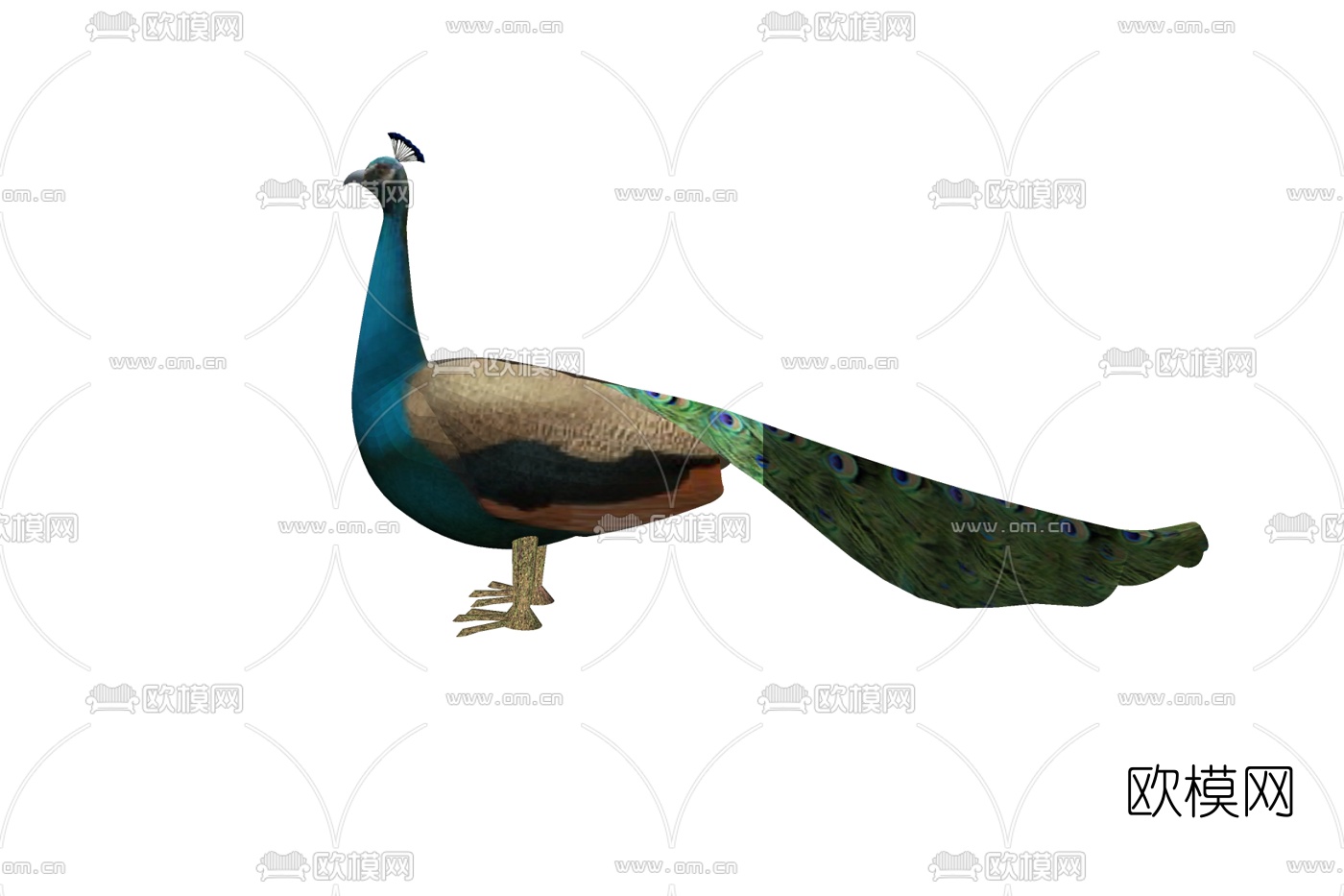 现代孔雀免费su模型下载