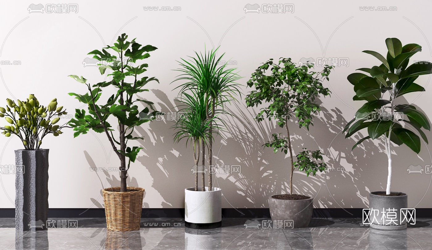 现代绿植盆栽3d模型下载