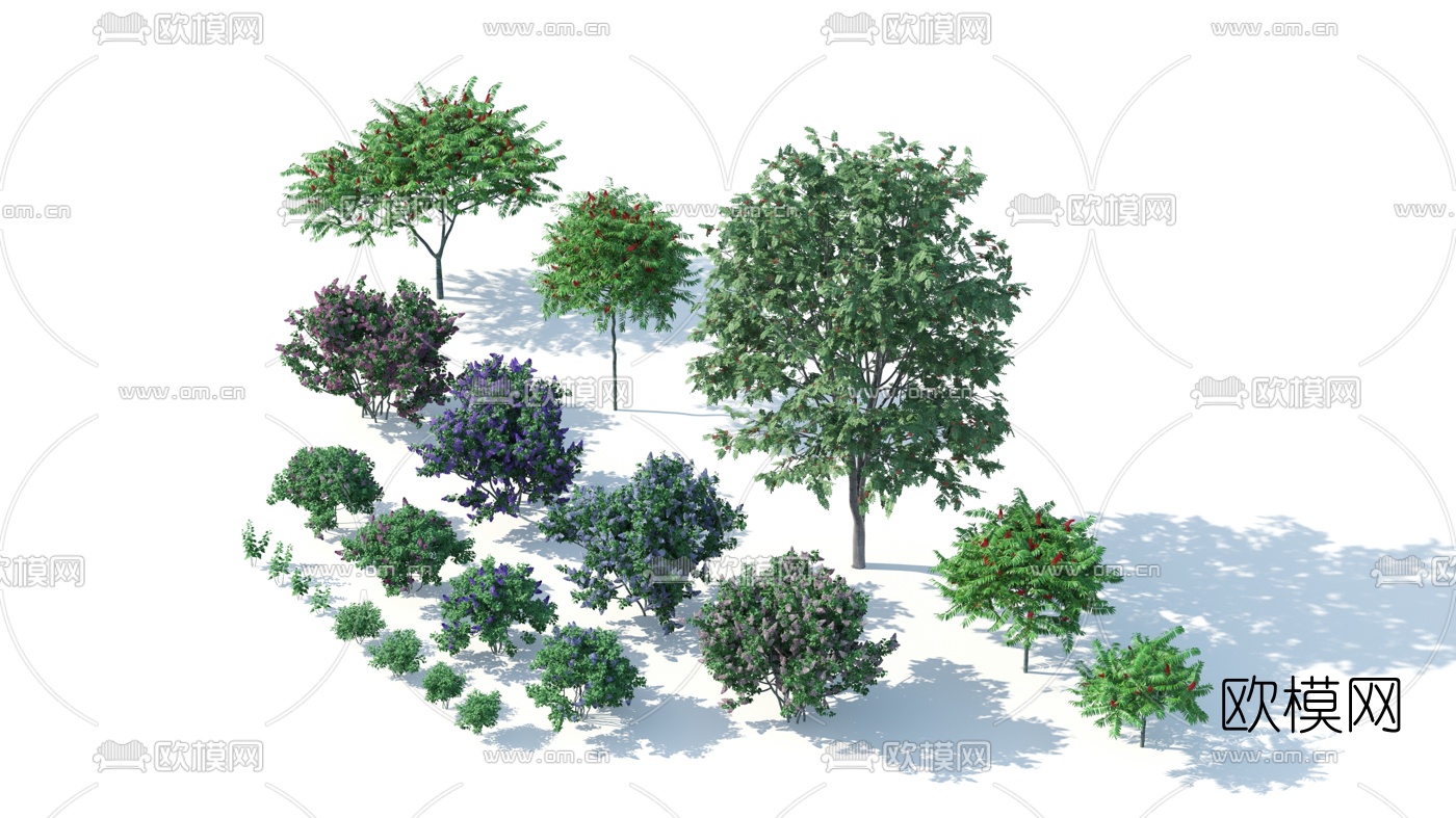 现代绿植灌木花草3d模型