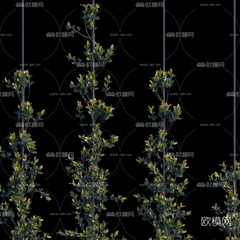 现代绿植藤蔓3d模型下载（渲染图2）