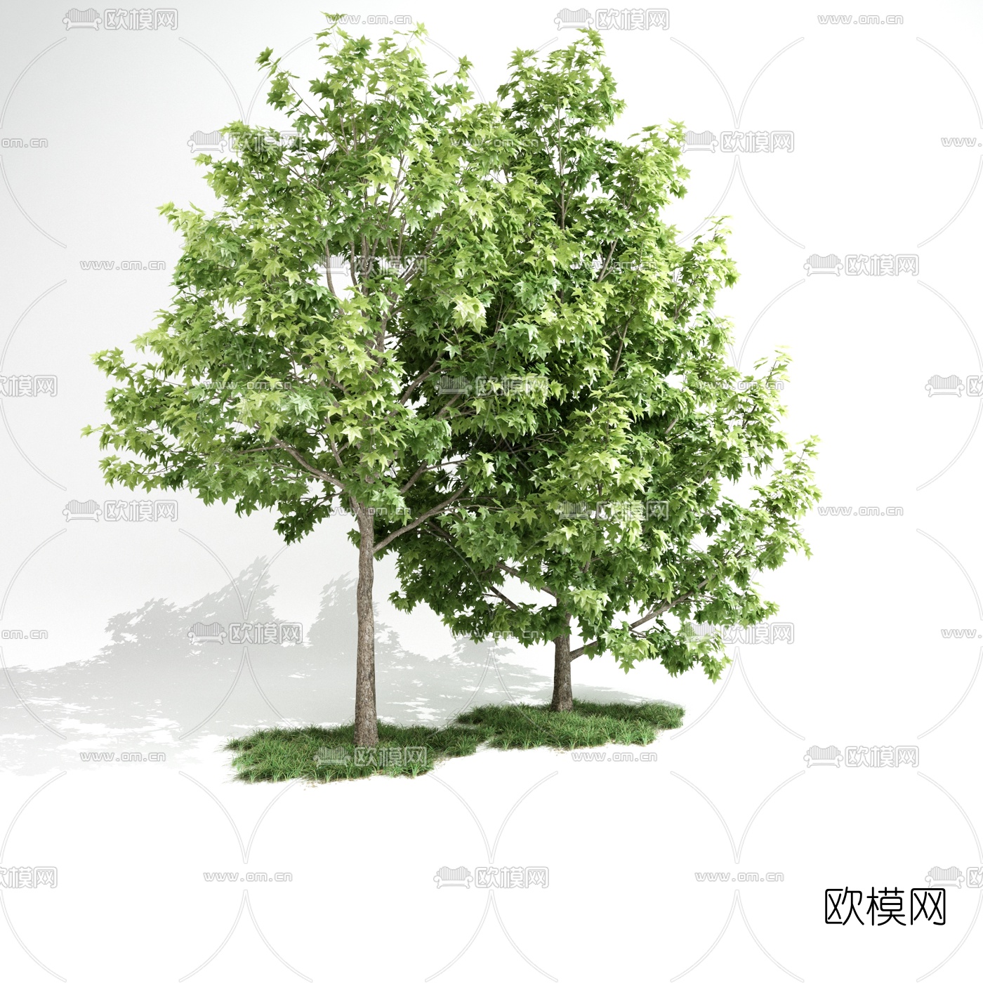 现代景观树木3d模型下载