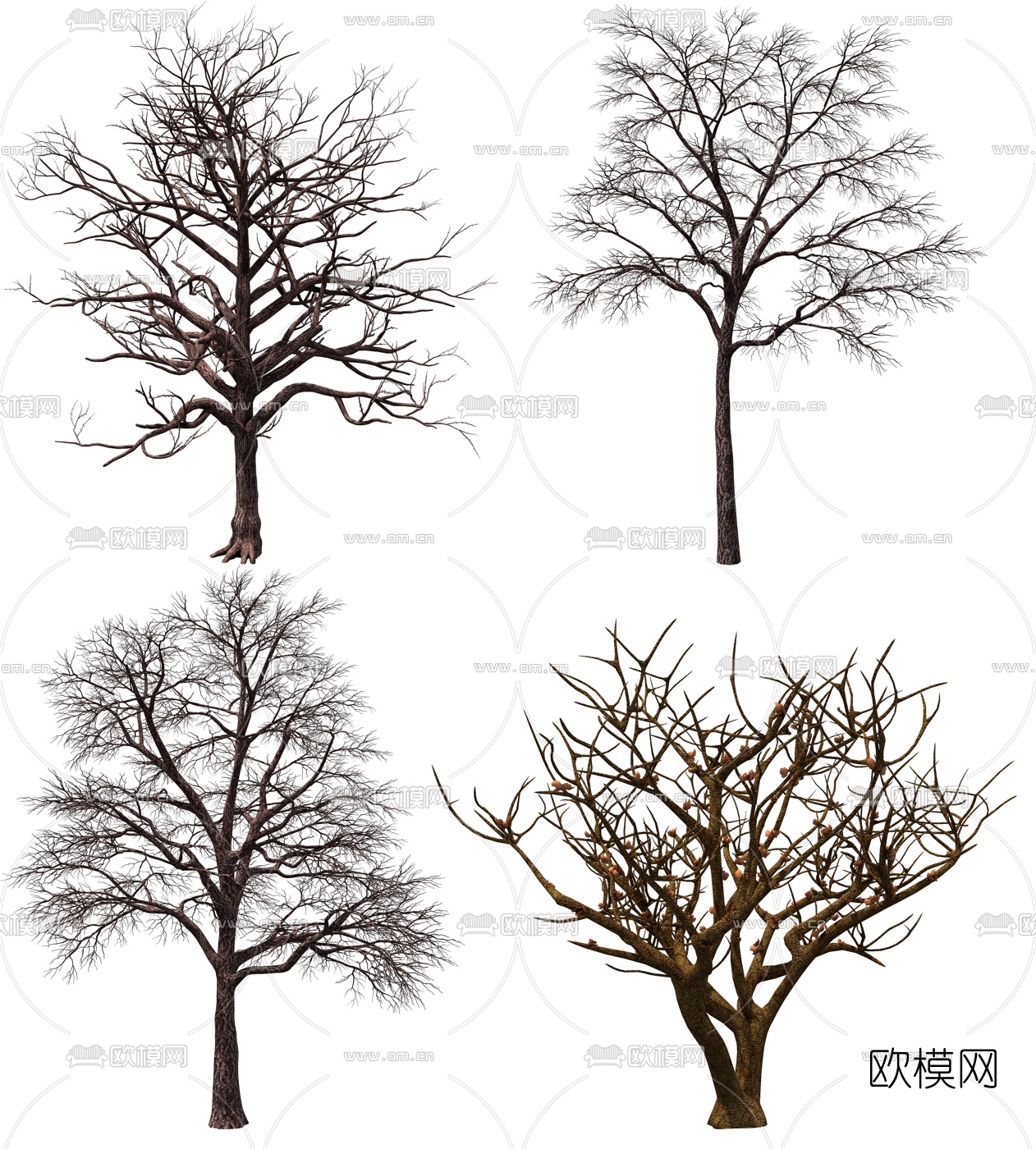 现代景观树枯树3d模型