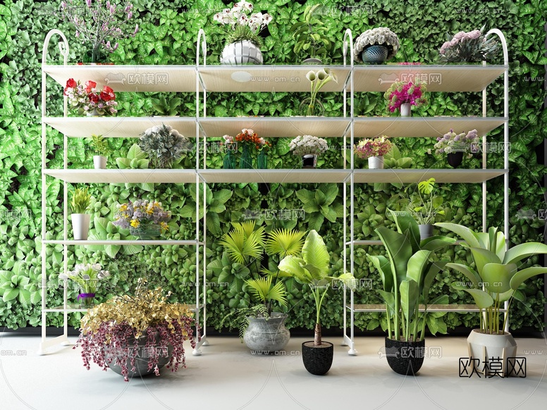 现代植物墙盆栽组合3d模型下载