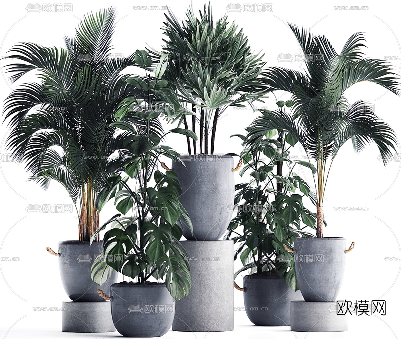 现代绿植盆栽3d模型下载