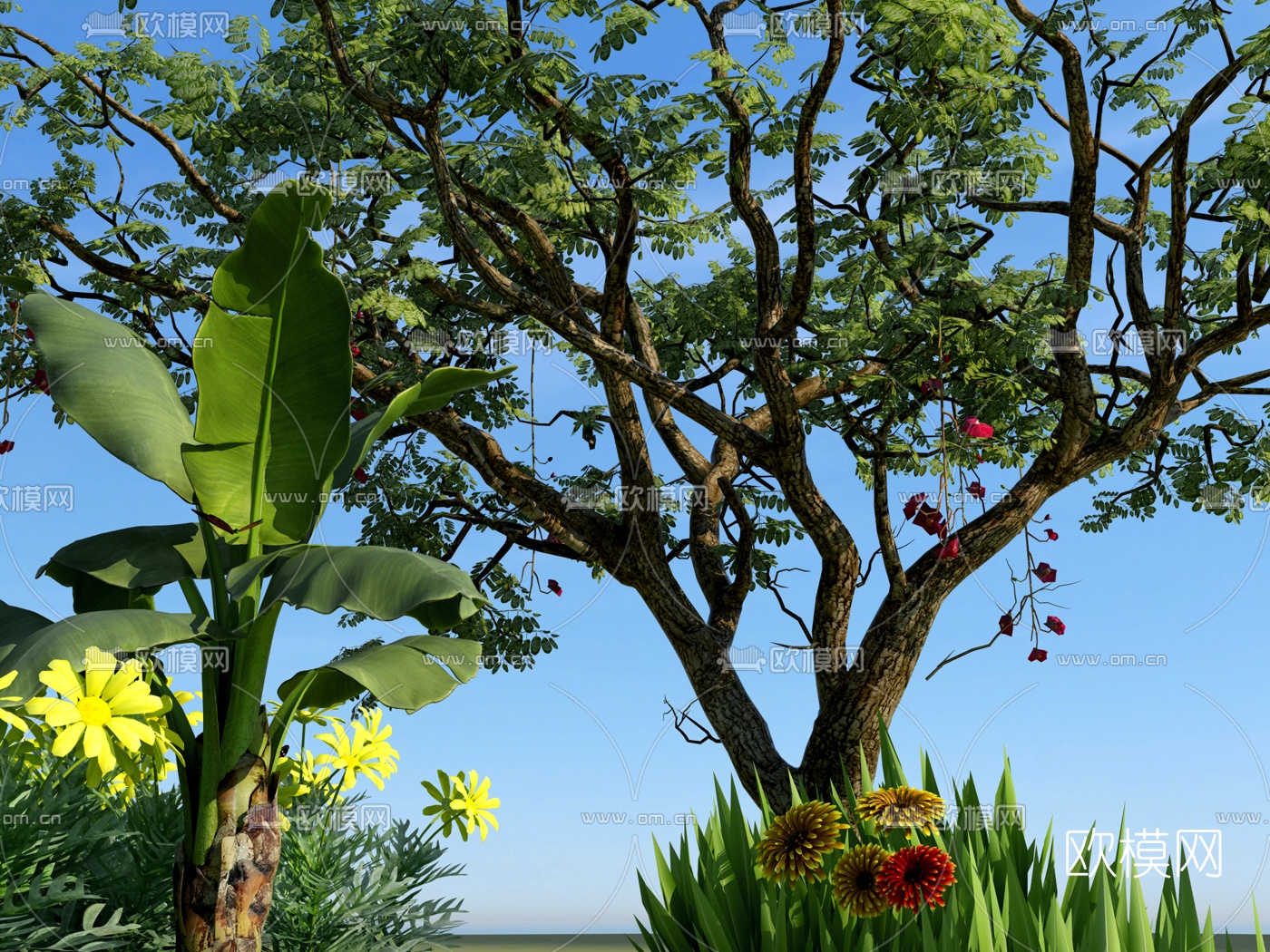 现代绿植花草3d模型