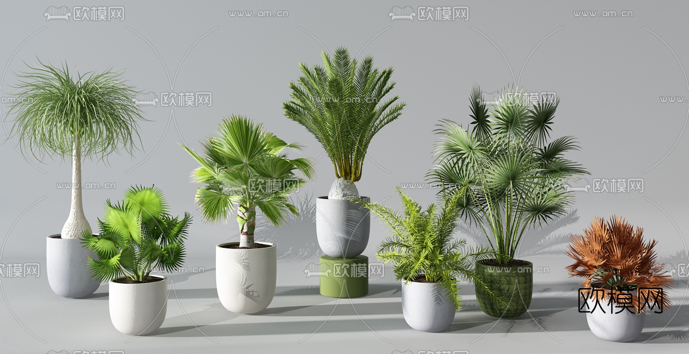 现代植物盆栽组合3d模型
