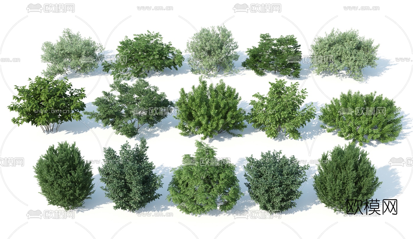 现代植物灌木3d模型