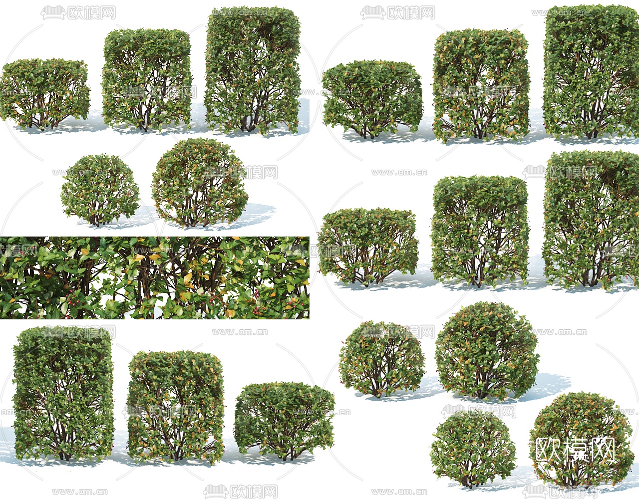 现代绿植灌木3d模型