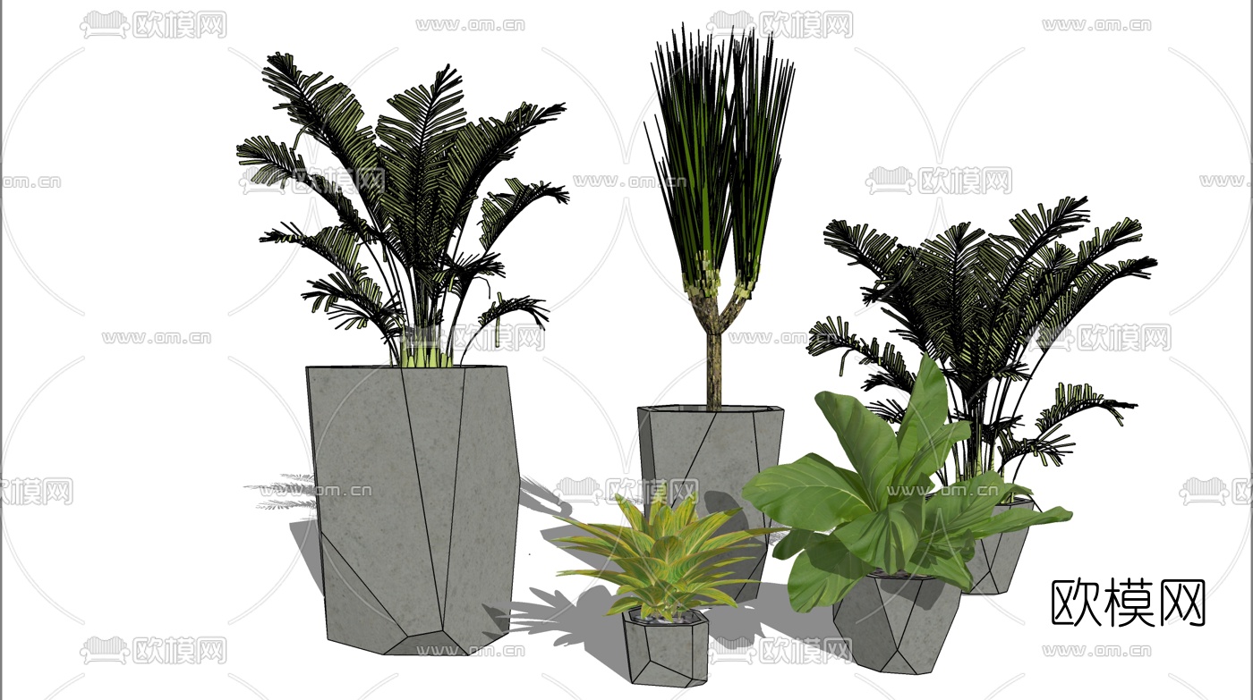 现代绿植盆栽su模型下载