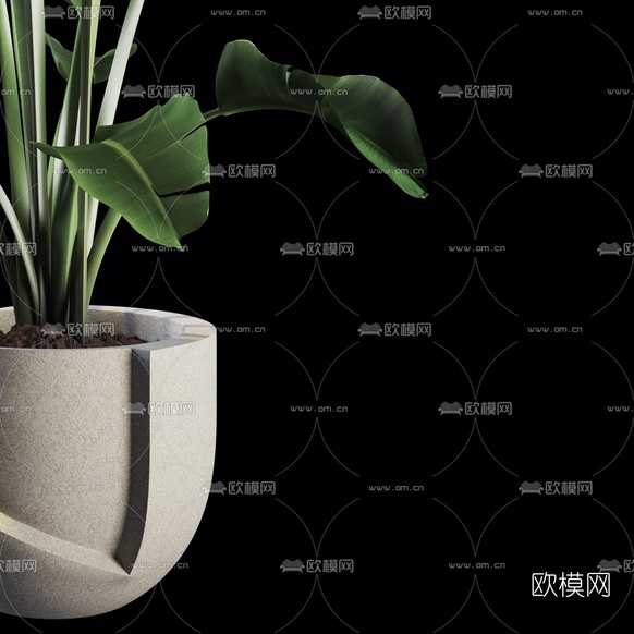现代植物盆栽3d模型下载(渲染图3)