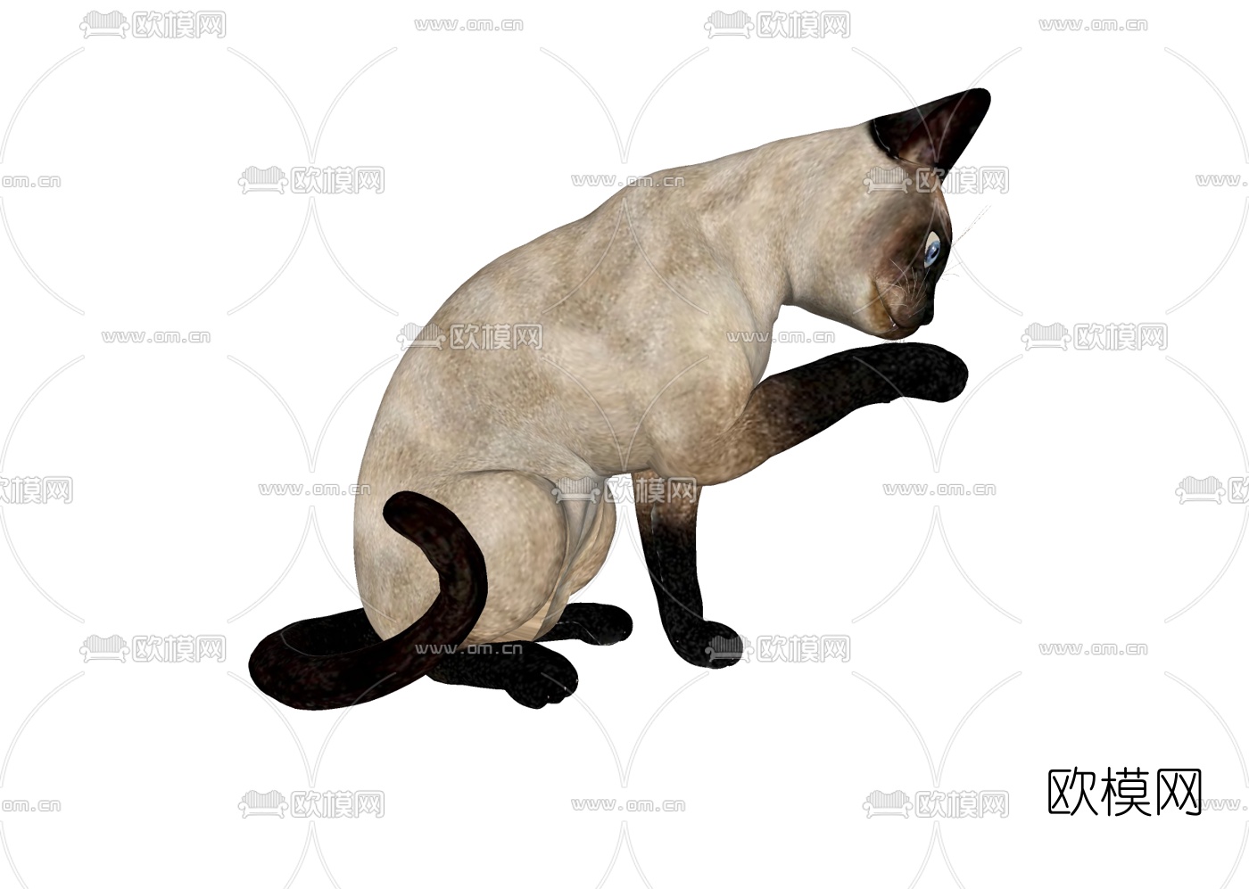 现代猫免费su模型下载