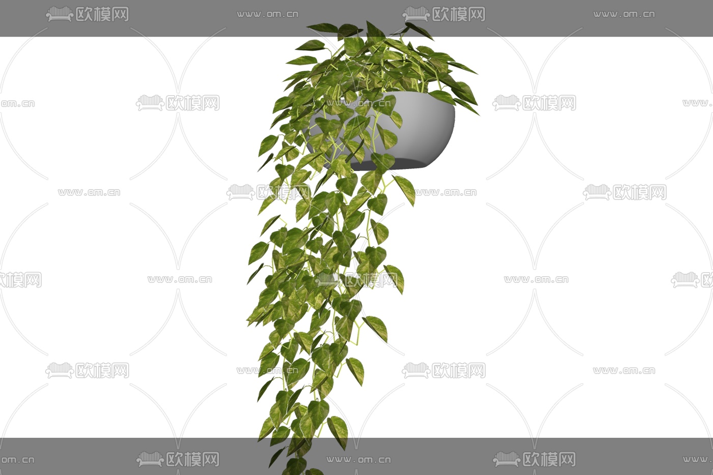 现代吊兰植物免费su模型下载