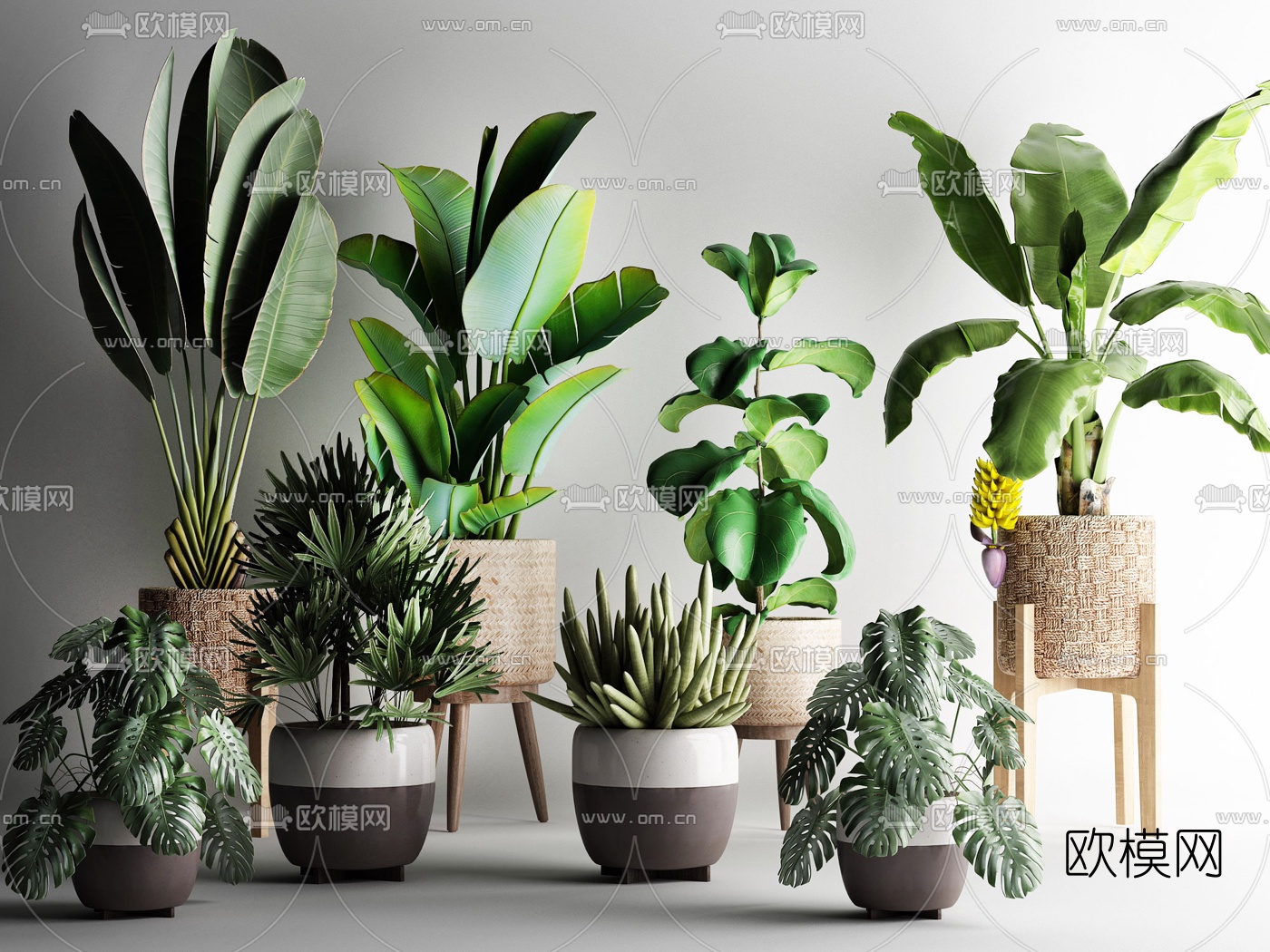 现代绿植盆栽3d模型下载