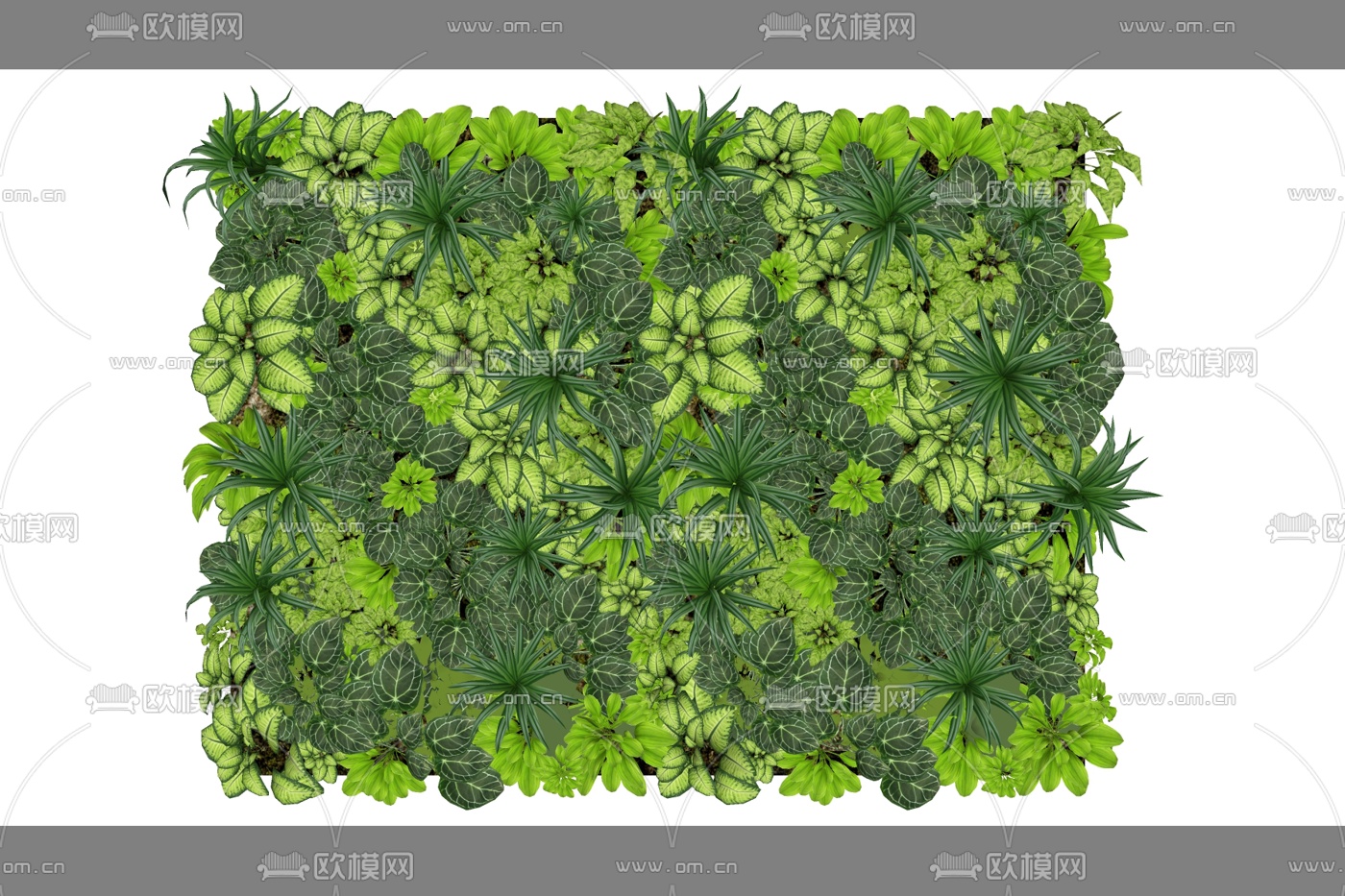现代植物墙免费su模型下载