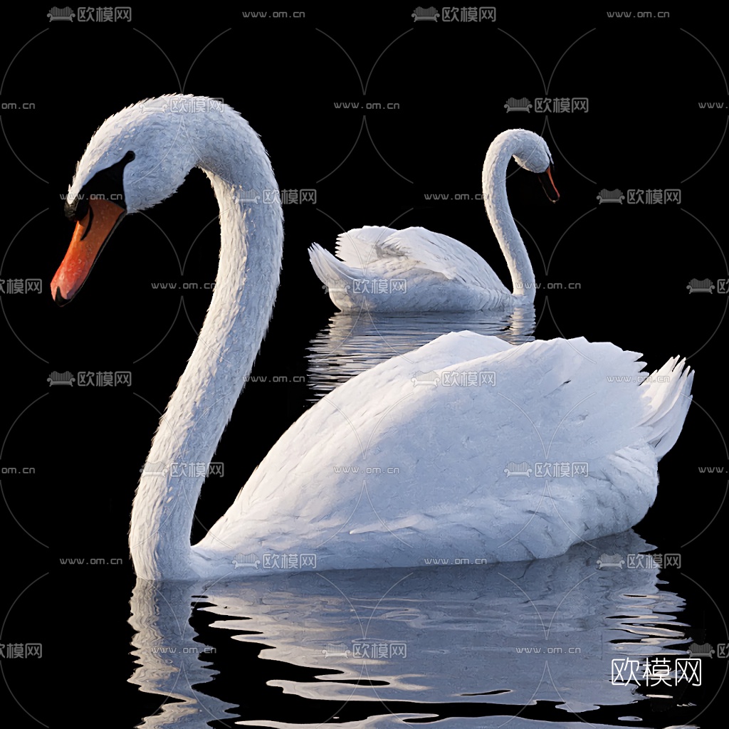 现代动物白天鹅3d模型下载