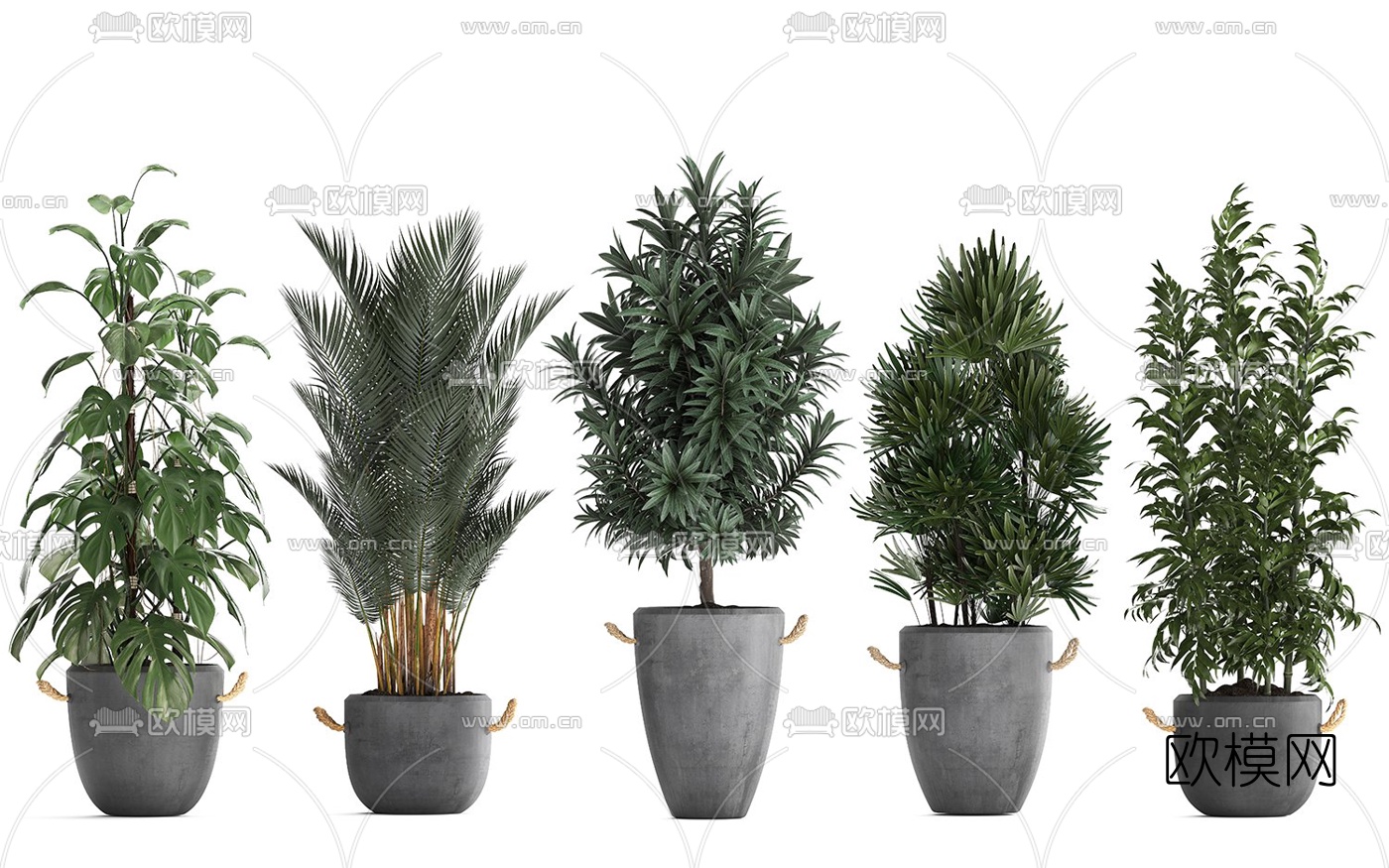 现代室内盆栽植物3d模型