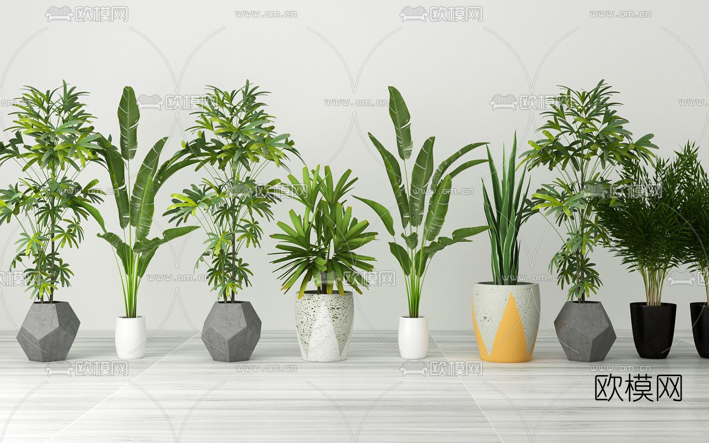 现代绿植盆栽3d模型