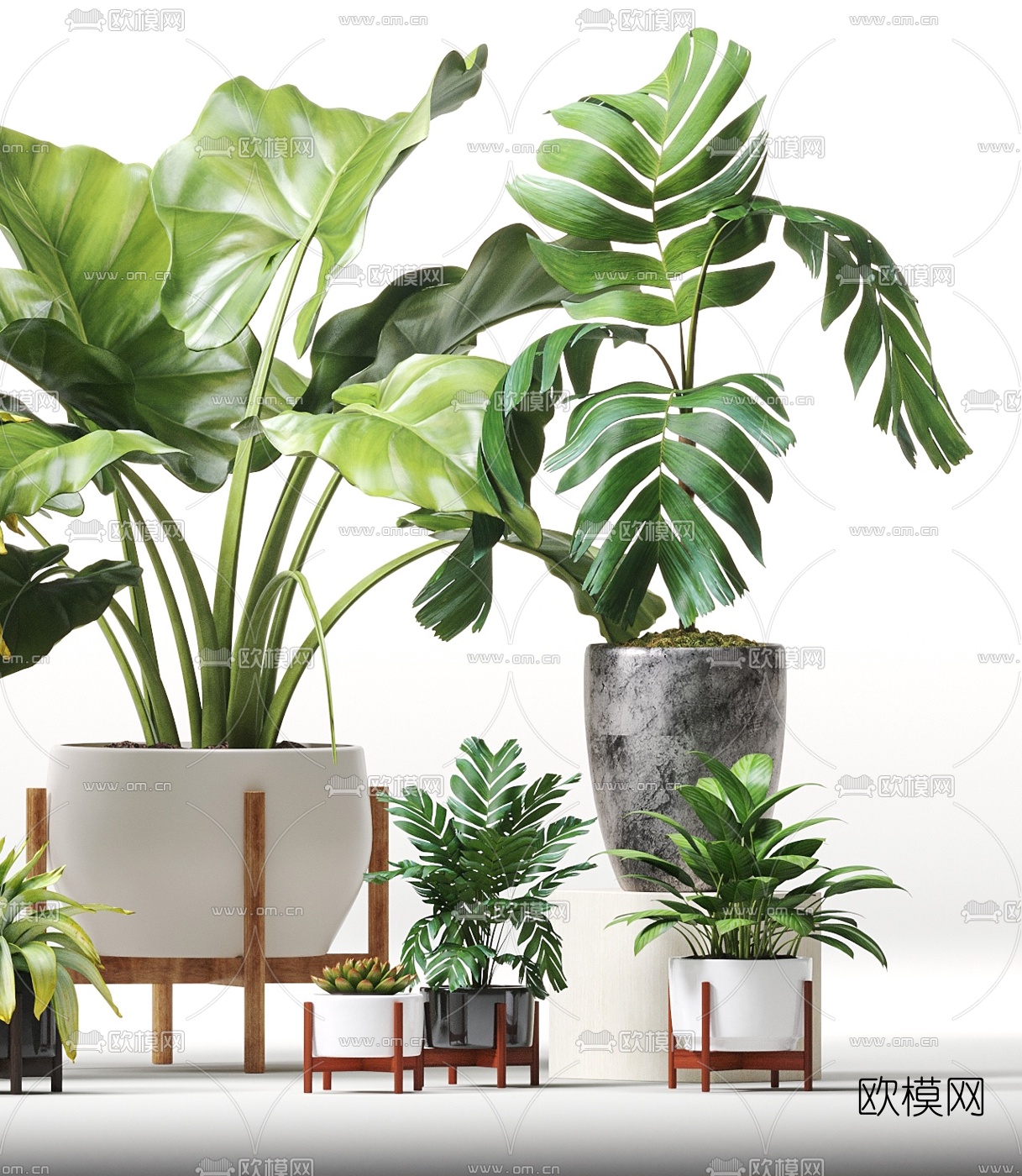 现代植物盆栽3d模型