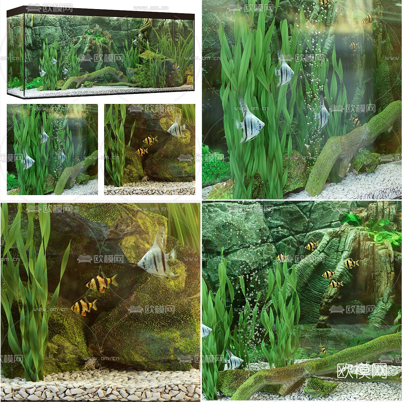 现代玻璃鱼缸水族组合3d模型