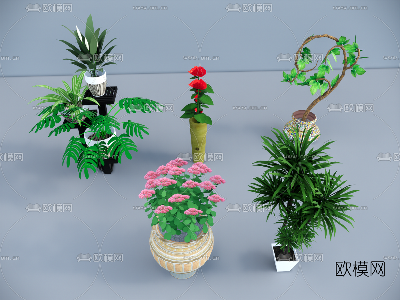 现代盆栽植物su模型下载（渲染图1）