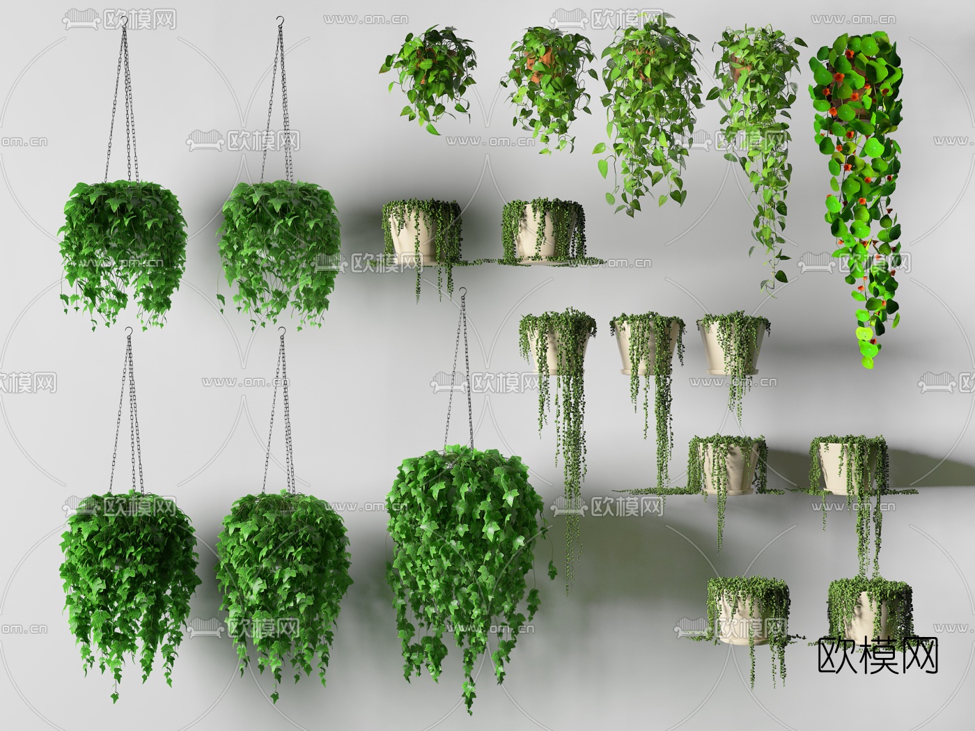 现代植物吊篮组合3d模型下载