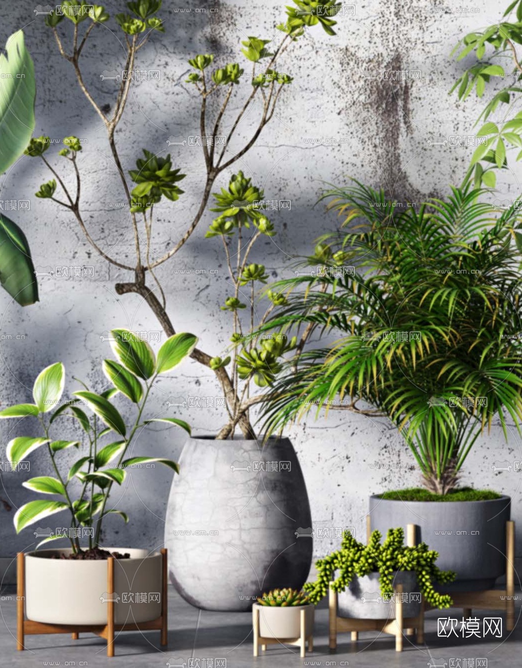 现代绿植盆栽3d模型下载（渲染图2）