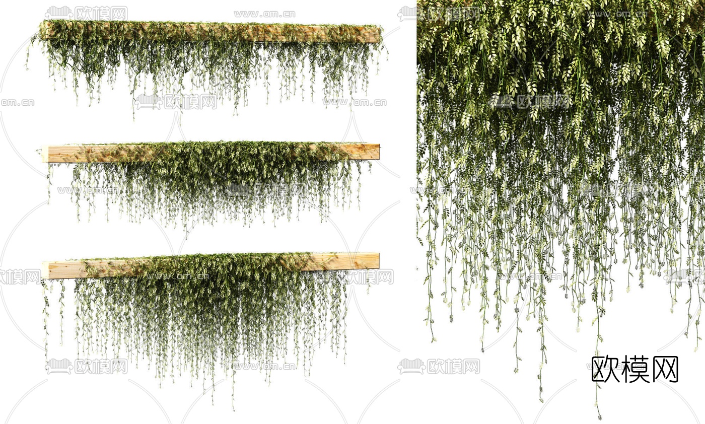 自然风植物藤蔓3d模型下载