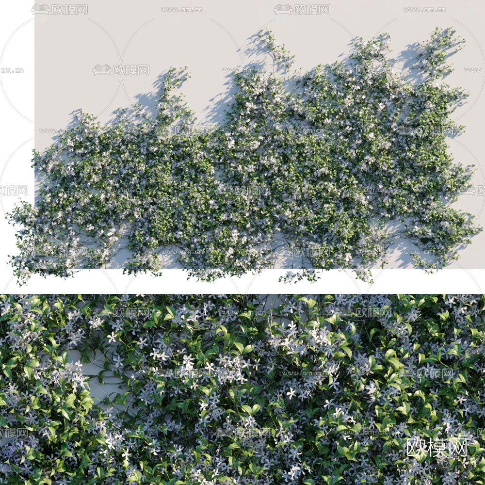 现代植物墙藤蔓3d模型下载（渲染图3）