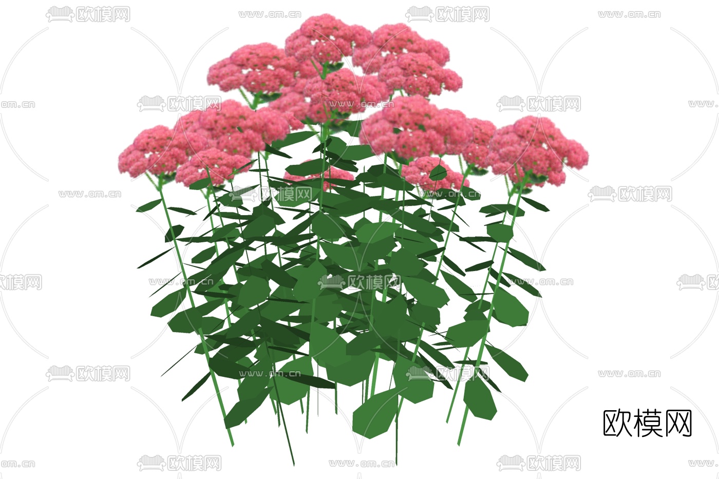 现代绿植花草免费su模型下载