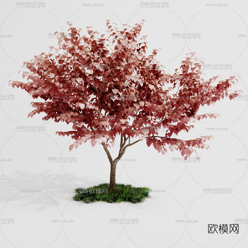 现代红枫室外树3d模型