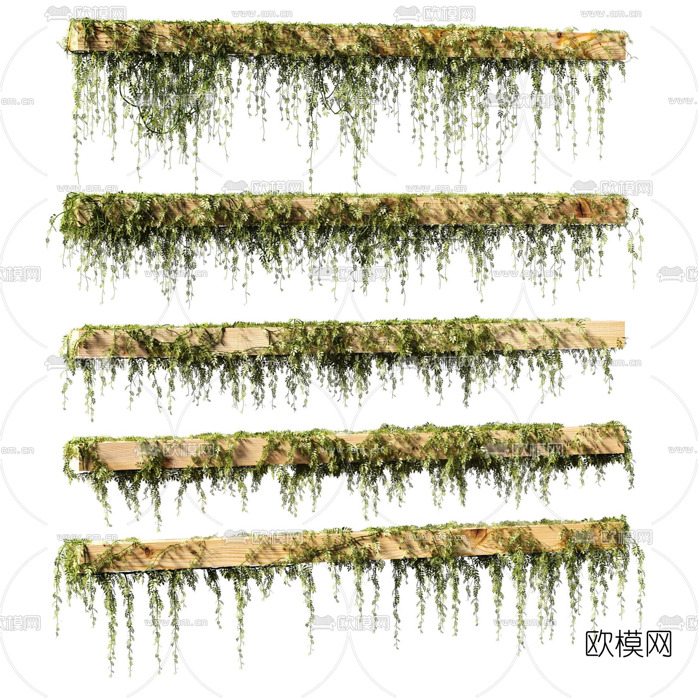 自然风植物藤蔓3d模型下载