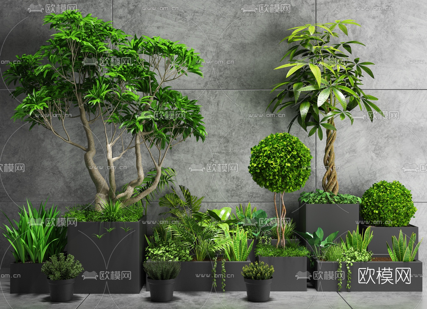 现代绿植盆栽3d模型