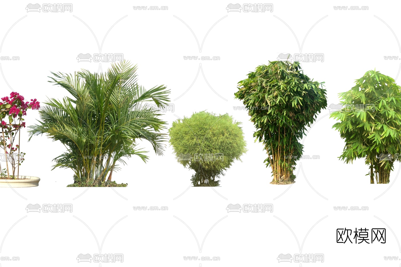 现代花草植物组合免费su模型