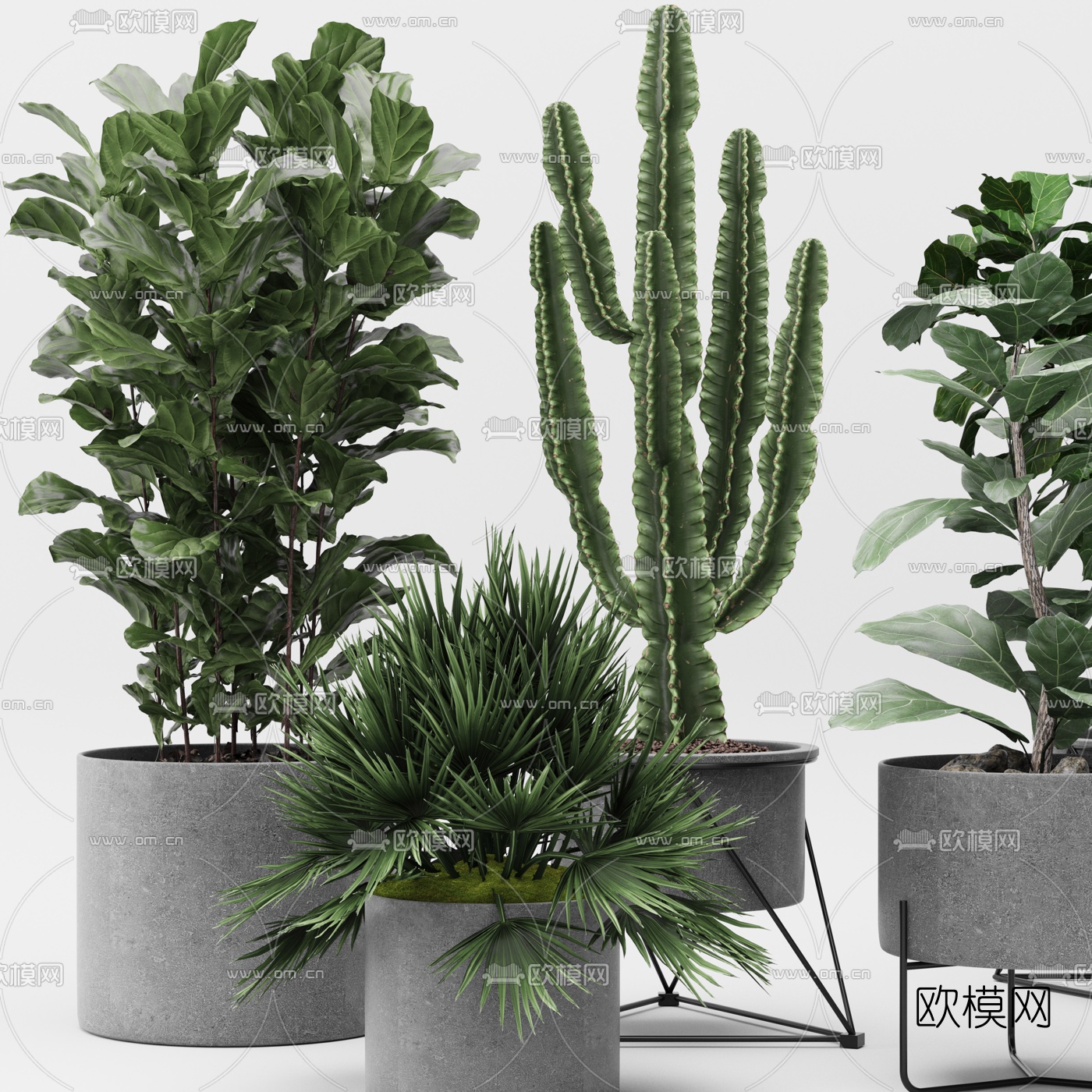 现代绿植盆栽3d模型下载（渲染图2）