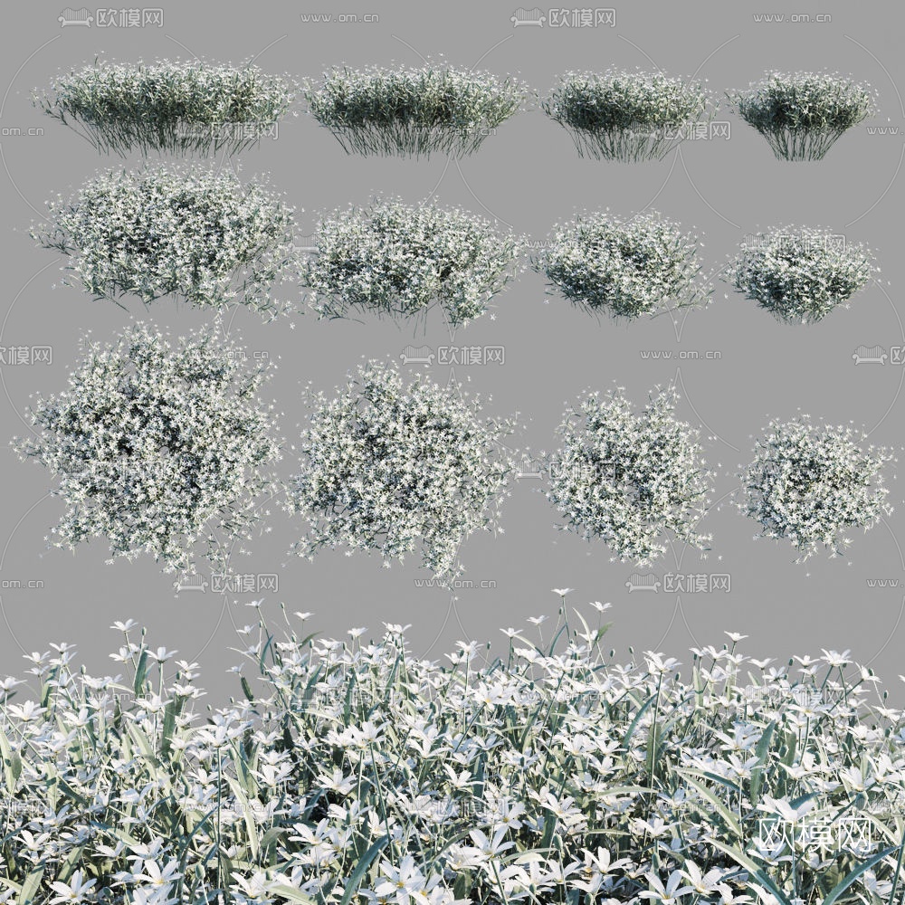 现代灌木丛3d模型