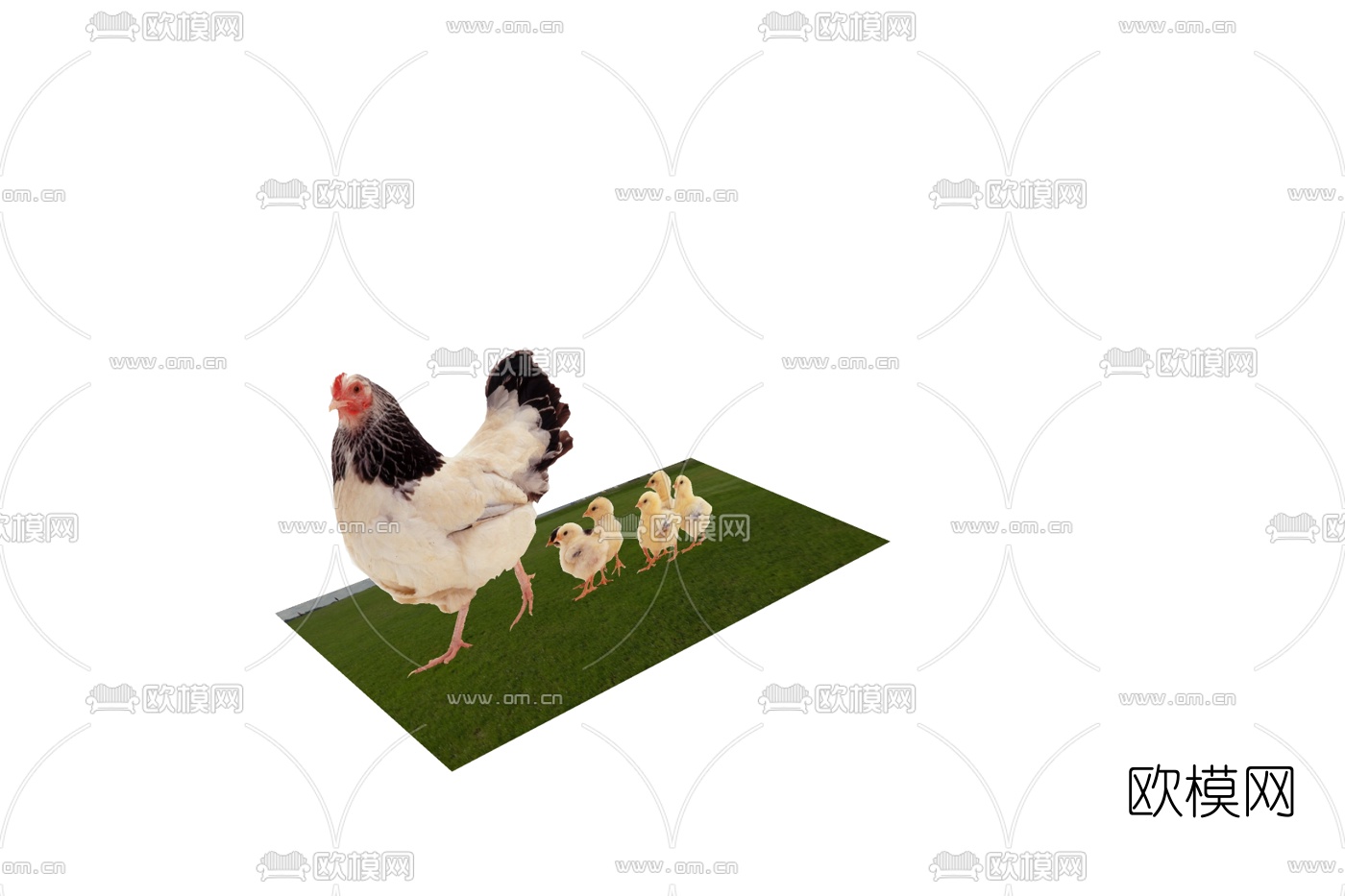现代母鸡小鸡免费su模型下载