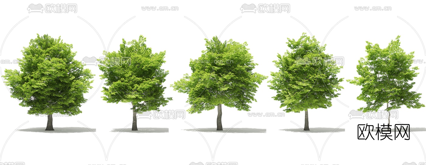 现代景观树木3d模型