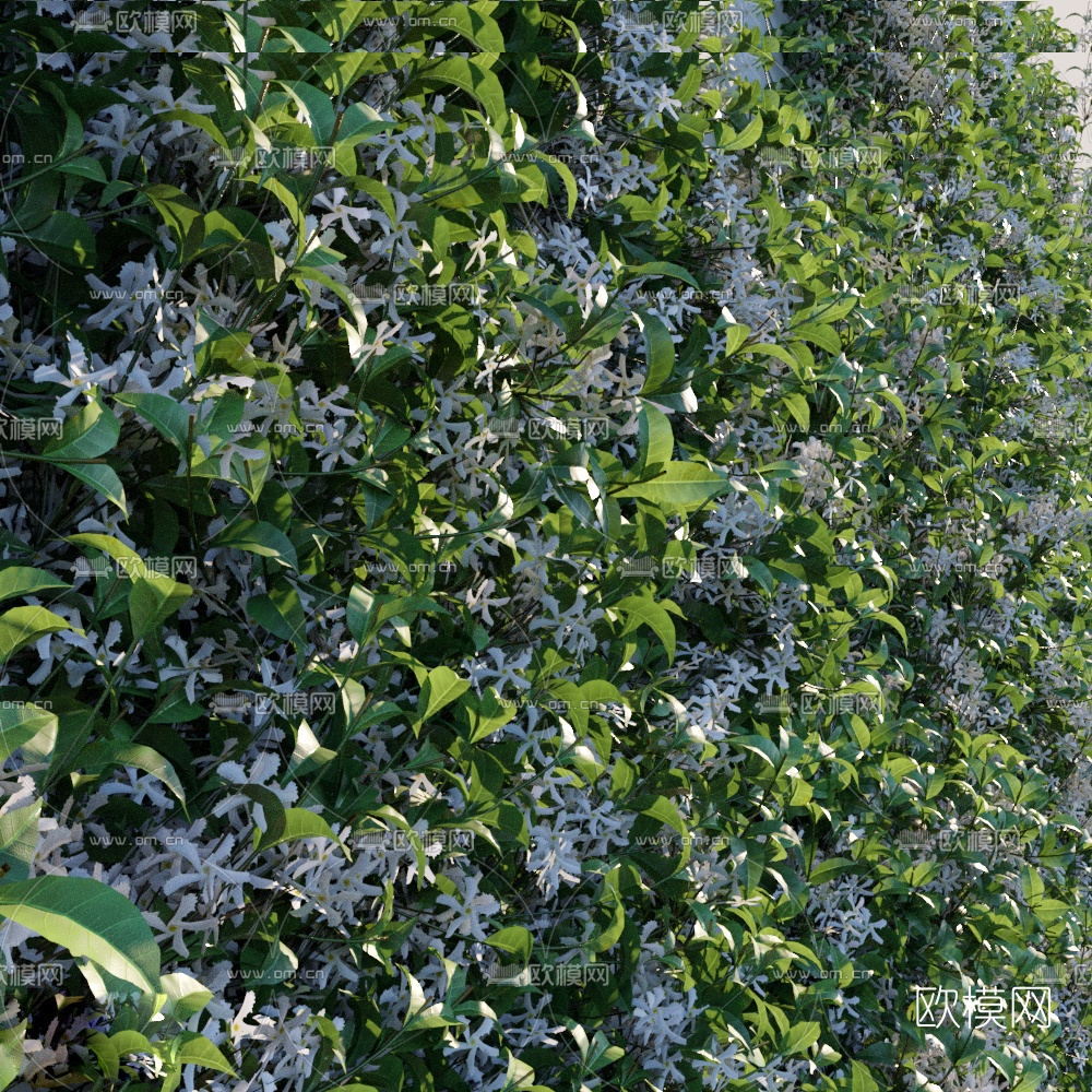 现代植物墙藤蔓3d模型下载（渲染图1）