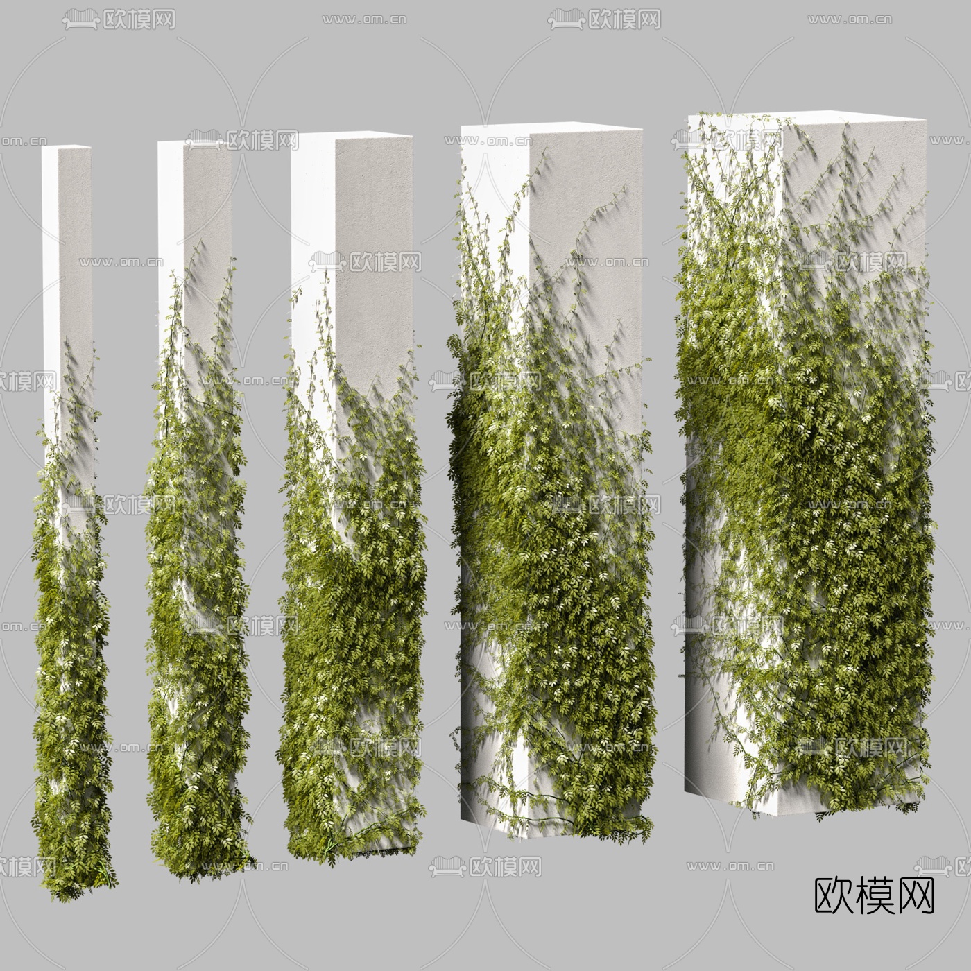 现代绿植爬藤3d模型下载（渲染图2）
