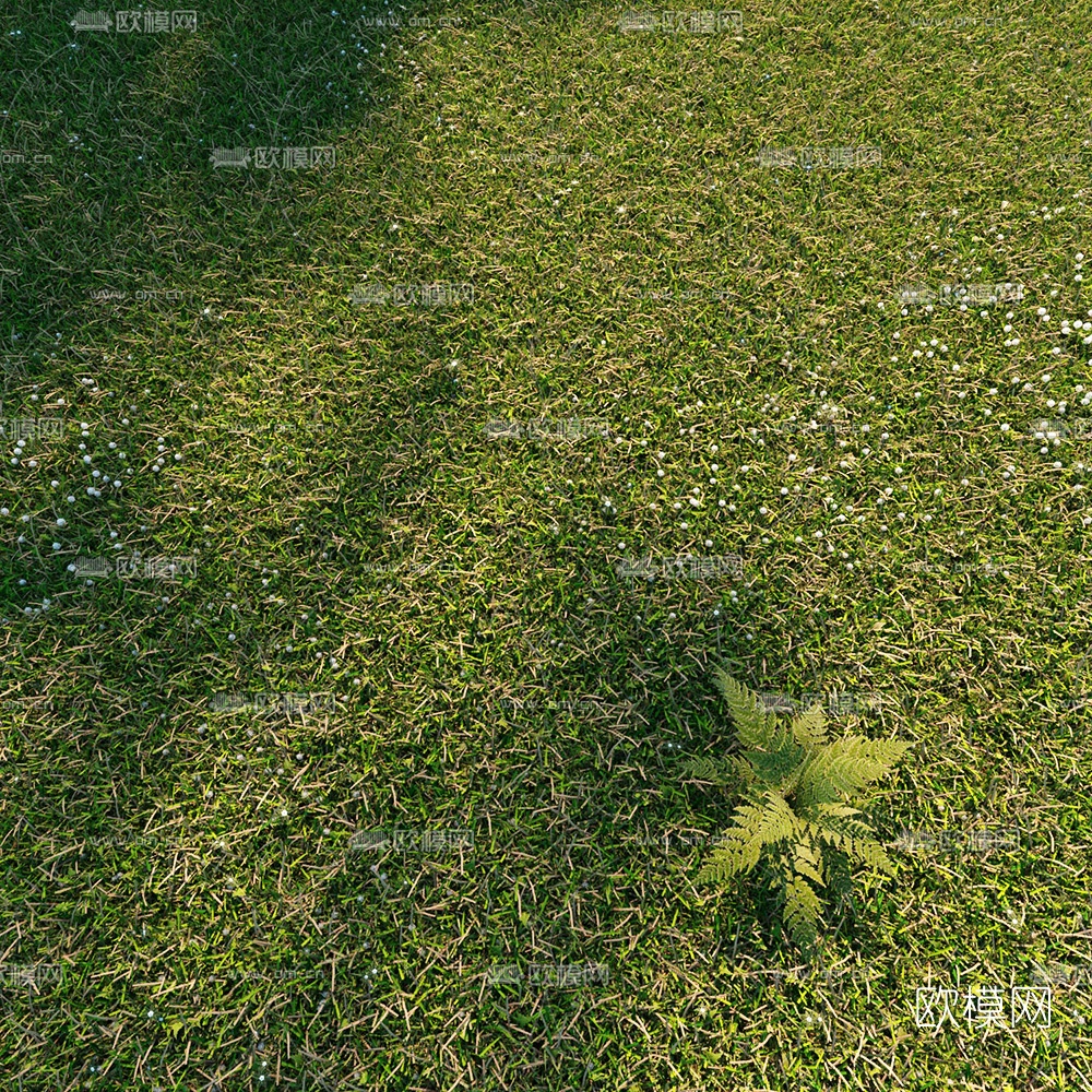 现代绿茵草坪草地3d模型