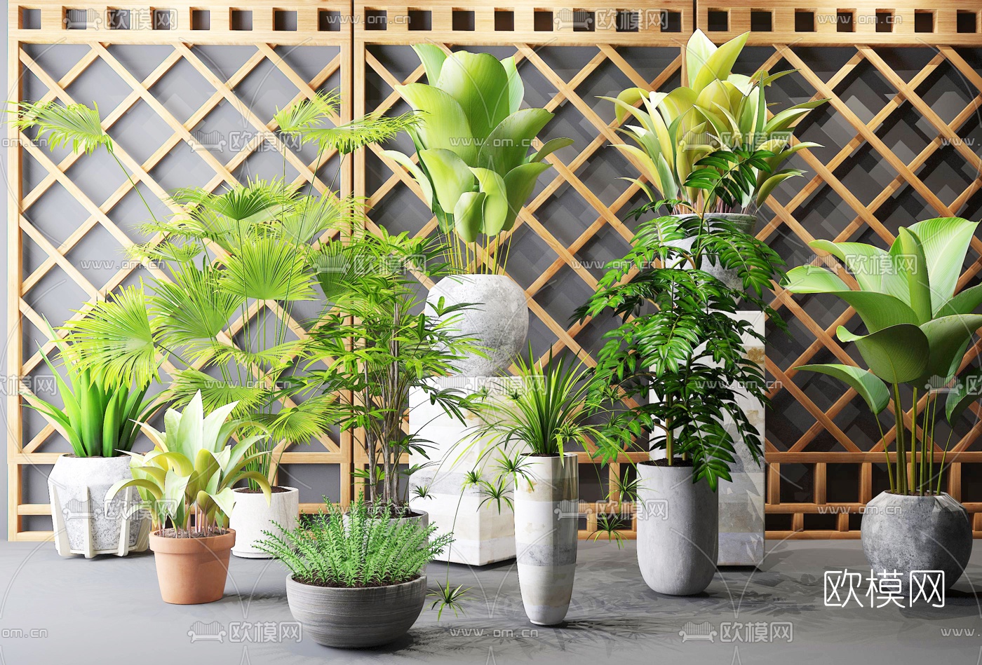 现代植物盆栽组合3d模型-免费3dmax模型库-欧模网