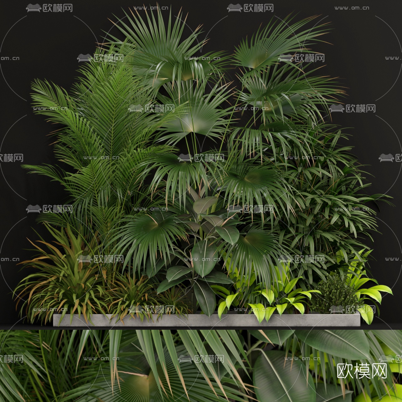 现代绿植盆栽3d模型