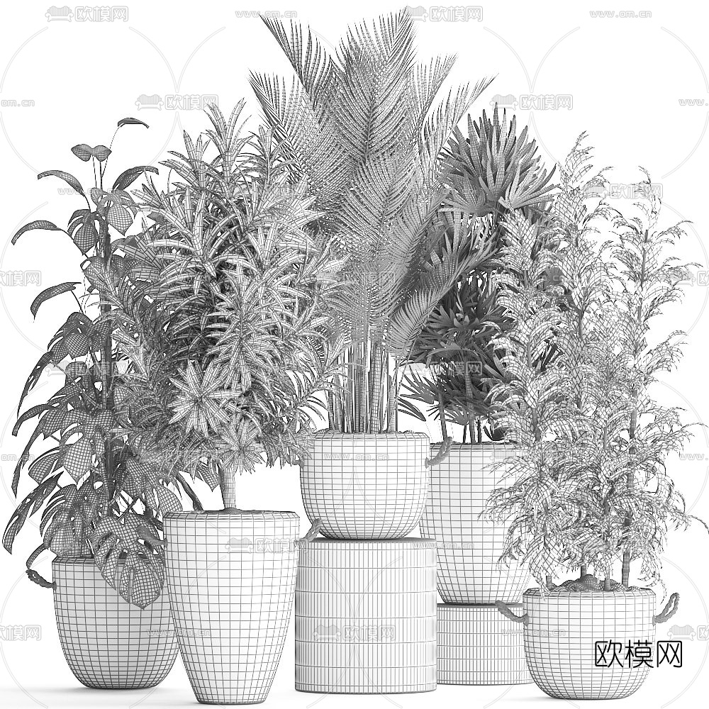 现代室内盆栽植物3d模型